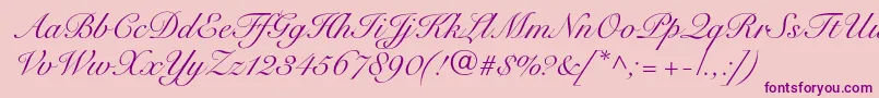 SnellroundhandltstdScr Font – Purple Fonts on Pink Background