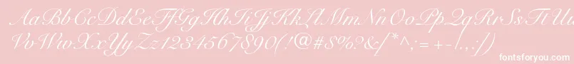 SnellroundhandltstdScr Font – White Fonts on Pink Background