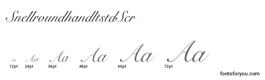 SnellroundhandltstdScr Font Sizes