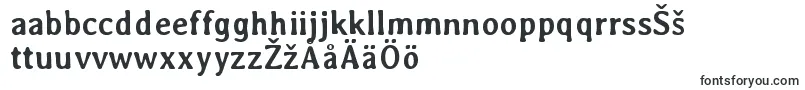 AveriaBold Font – Finnish Fonts