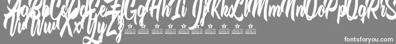 Police TheQuickFoxPersonalUse – polices blanches sur fond gris