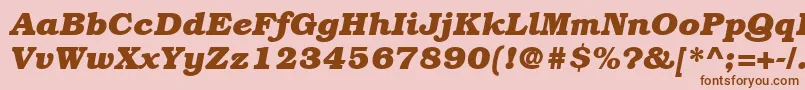 ItcBookmanLtBoldItalic Font – Brown Fonts on Pink Background