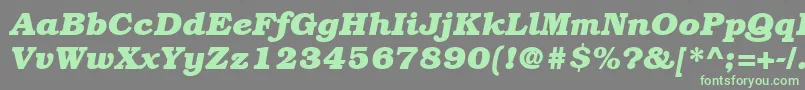 ItcBookmanLtBoldItalic Font – Green Fonts on Gray Background