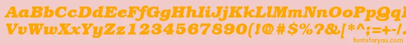 ItcBookmanLtBoldItalic Font – Orange Fonts on Pink Background