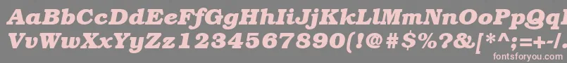 ItcBookmanLtBoldItalic Font – Pink Fonts on Gray Background