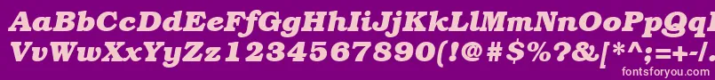 ItcBookmanLtBoldItalic Font – Pink Fonts on Purple Background