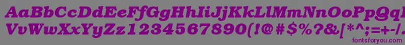 ItcBookmanLtBoldItalic Font – Purple Fonts on Gray Background