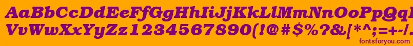 ItcBookmanLtBoldItalic Font – Purple Fonts on Orange Background