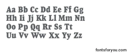 Review of the GourmetcbladbNormal Font