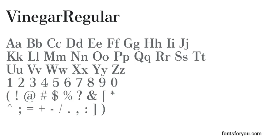 Czcionka VinegarRegular – alfabet, cyfry, specjalne znaki