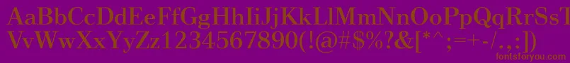 VinegarRegular Font – Brown Fonts on Purple Background