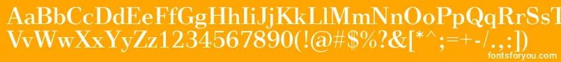 VinegarRegular Font – White Fonts on Orange Background