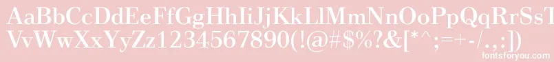 VinegarRegular Font – White Fonts on Pink Background