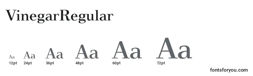 VinegarRegular Font Sizes