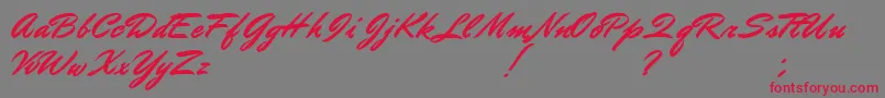 DoctorRussel Font – Red Fonts on Gray Background