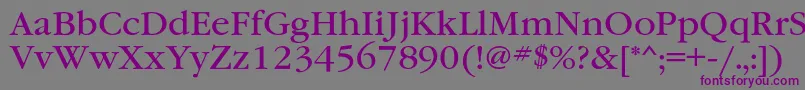 Garamondbookc Font – Purple Fonts on Gray Background