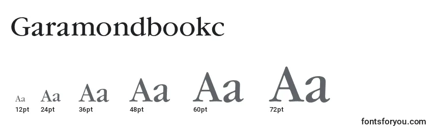 Размеры шрифта Garamondbookc