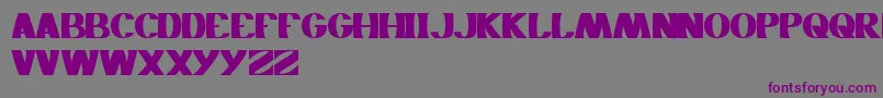 Monochrome Font – Purple Fonts on Gray Background