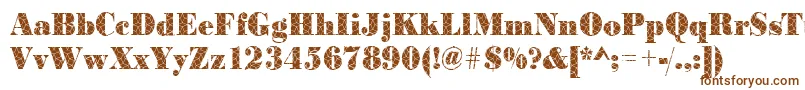 BodonispiderRegular Font – Brown Fonts on White Background