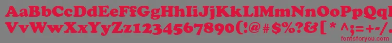 Agcoopr Font – Red Fonts on Gray Background
