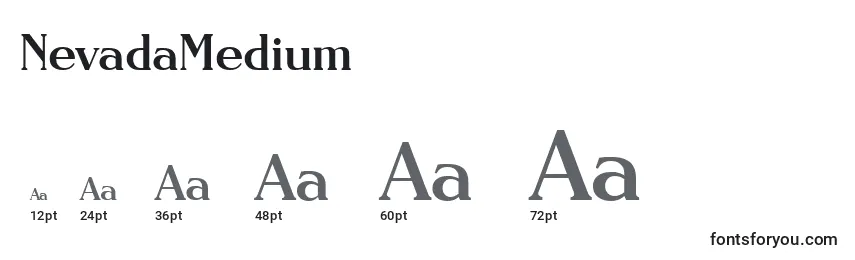 Размеры шрифта NevadaMedium