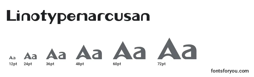Размеры шрифта Linotypemarcusan