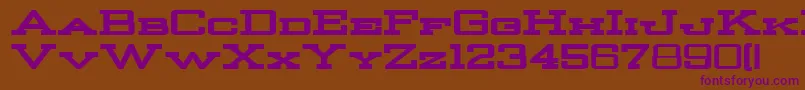 Police StrongmanBold – polices violettes sur fond brun