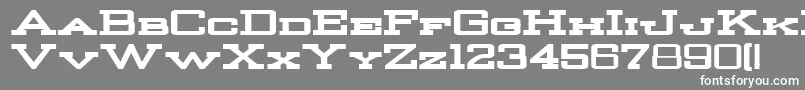 Police StrongmanBold – polices blanches sur fond gris
