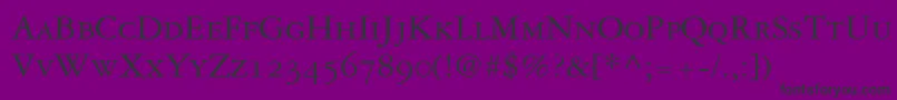 GaramondRepriseOldstyleSsiSmallCaps Font – Black Fonts on Purple Background