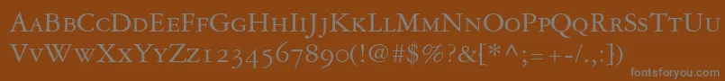 Czcionka GaramondRepriseOldstyleSsiSmallCaps – szare czcionki na brązowym tle