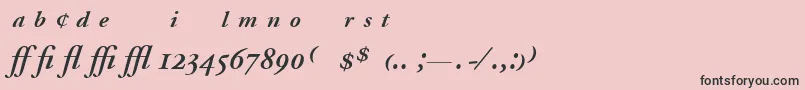 AdobeGaramondSemiboldItalicExpert Font – Black Fonts on Pink Background