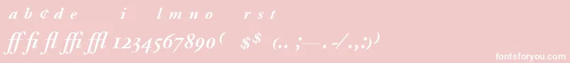 AdobeGaramondSemiboldItalicExpert Font – White Fonts on Pink Background