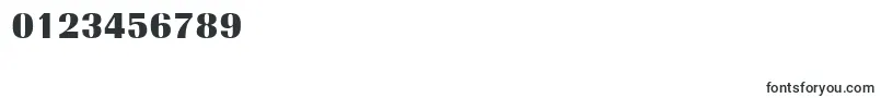 Raffia Font – Fonts for Numbers and Digits