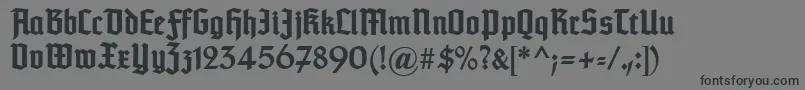 Typographertexturunz1Bold Font – Black Fonts on Gray Background