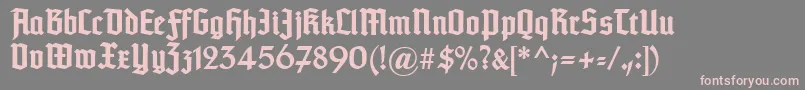 Typographertexturunz1Bold Font – Pink Fonts on Gray Background