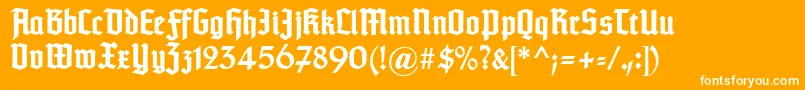 Typographertexturunz1Bold Font – White Fonts on Orange Background
