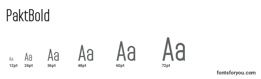 PaktBold Font Sizes