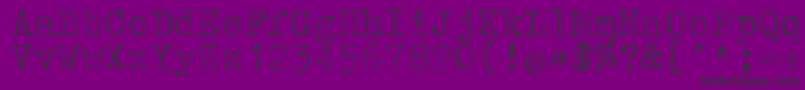 Tippa Font – Black Fonts on Purple Background