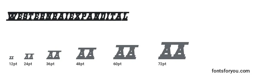 Westernraiexpandital Font Sizes