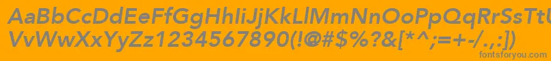 AvenirLt86HeavyOblique Font – Gray Fonts on Orange Background