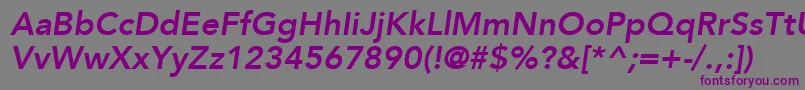 フォントAvenirLt86HeavyOblique – 紫色のフォント、灰色の背景