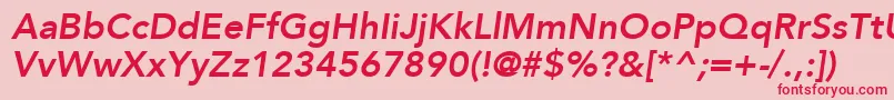 AvenirLt86HeavyOblique Font – Red Fonts on Pink Background