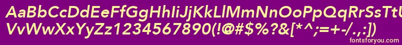 AvenirLt86HeavyOblique Font – Yellow Fonts on Purple Background