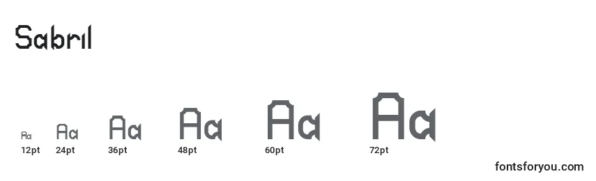Sabril Font Sizes
