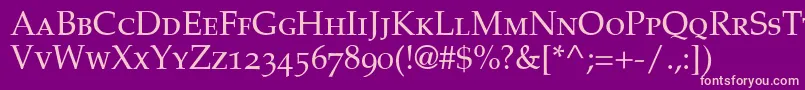 PalatinoSmallCapsOldStyleFigures Font – Pink Fonts on Purple Background