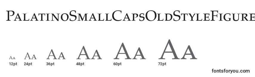 PalatinoSmallCapsOldStyleFigures Font Sizes
