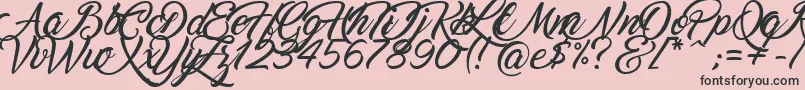 fuente Marguerite – Fuentes Negras Sobre Fondo Rosa