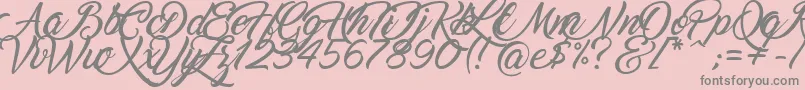 Marguerite Font – Gray Fonts on Pink Background