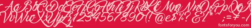 Marguerite Font – Pink Fonts on Red Background