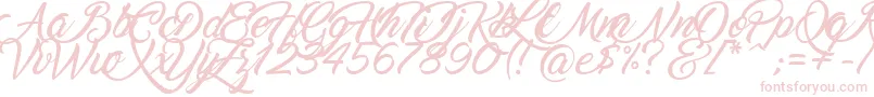 Marguerite Font – Pink Fonts on White Background